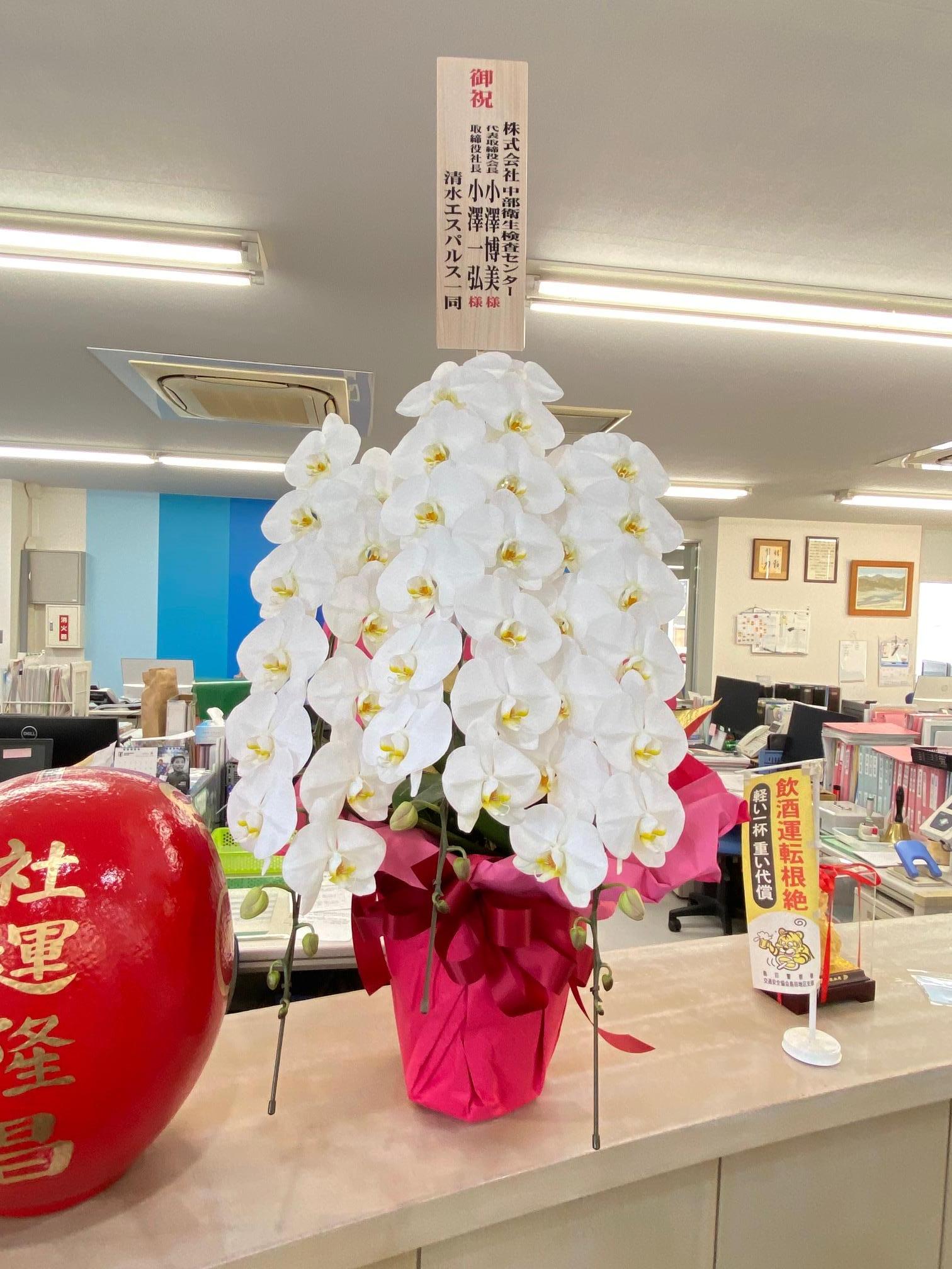 FileMakerから移行