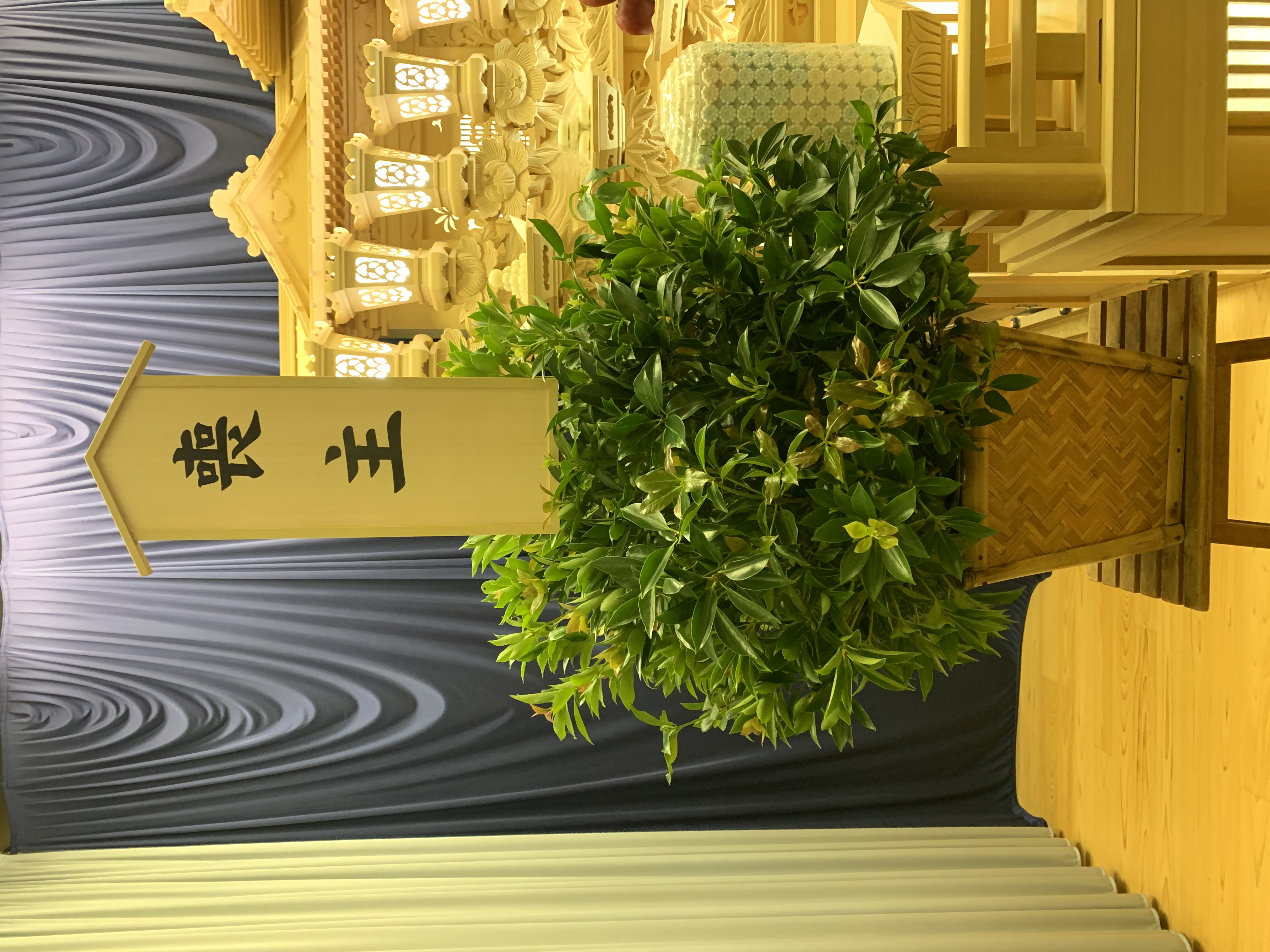 FileMakerから移行