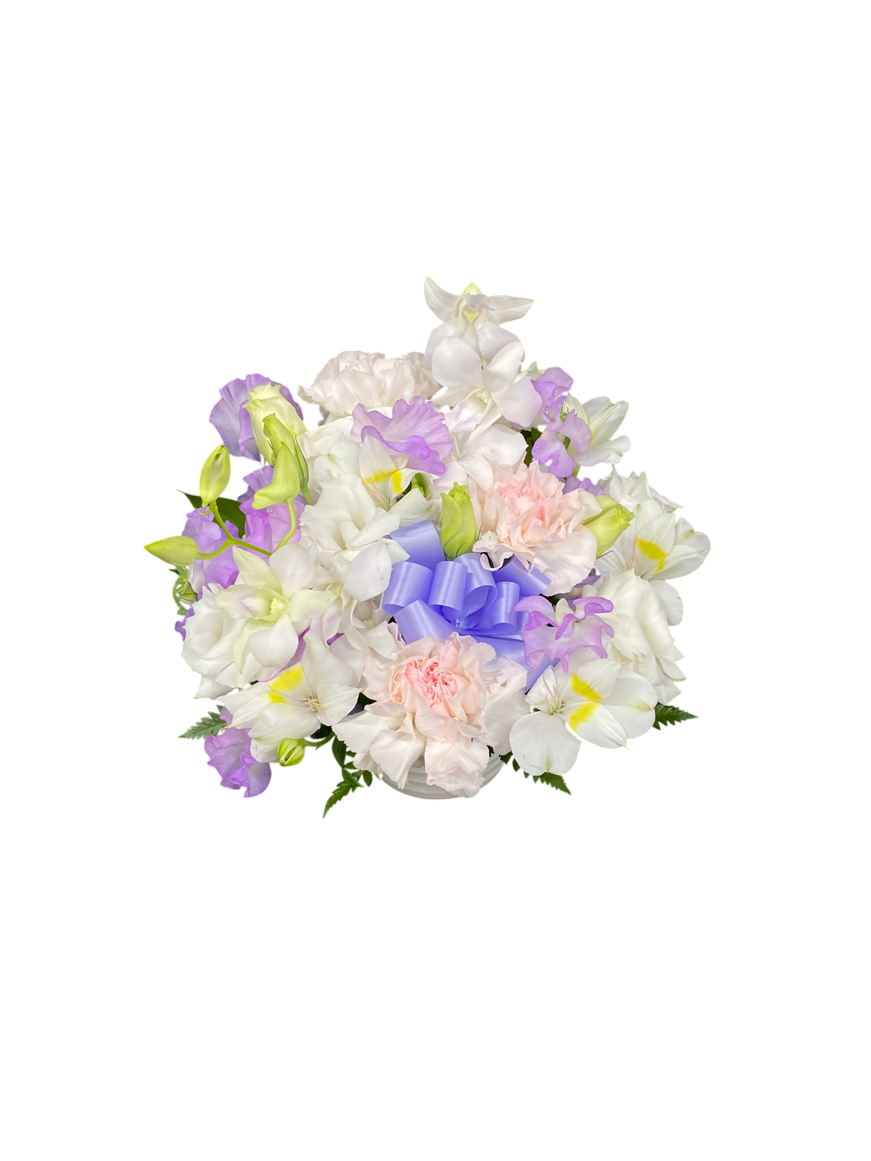 背景除去済み