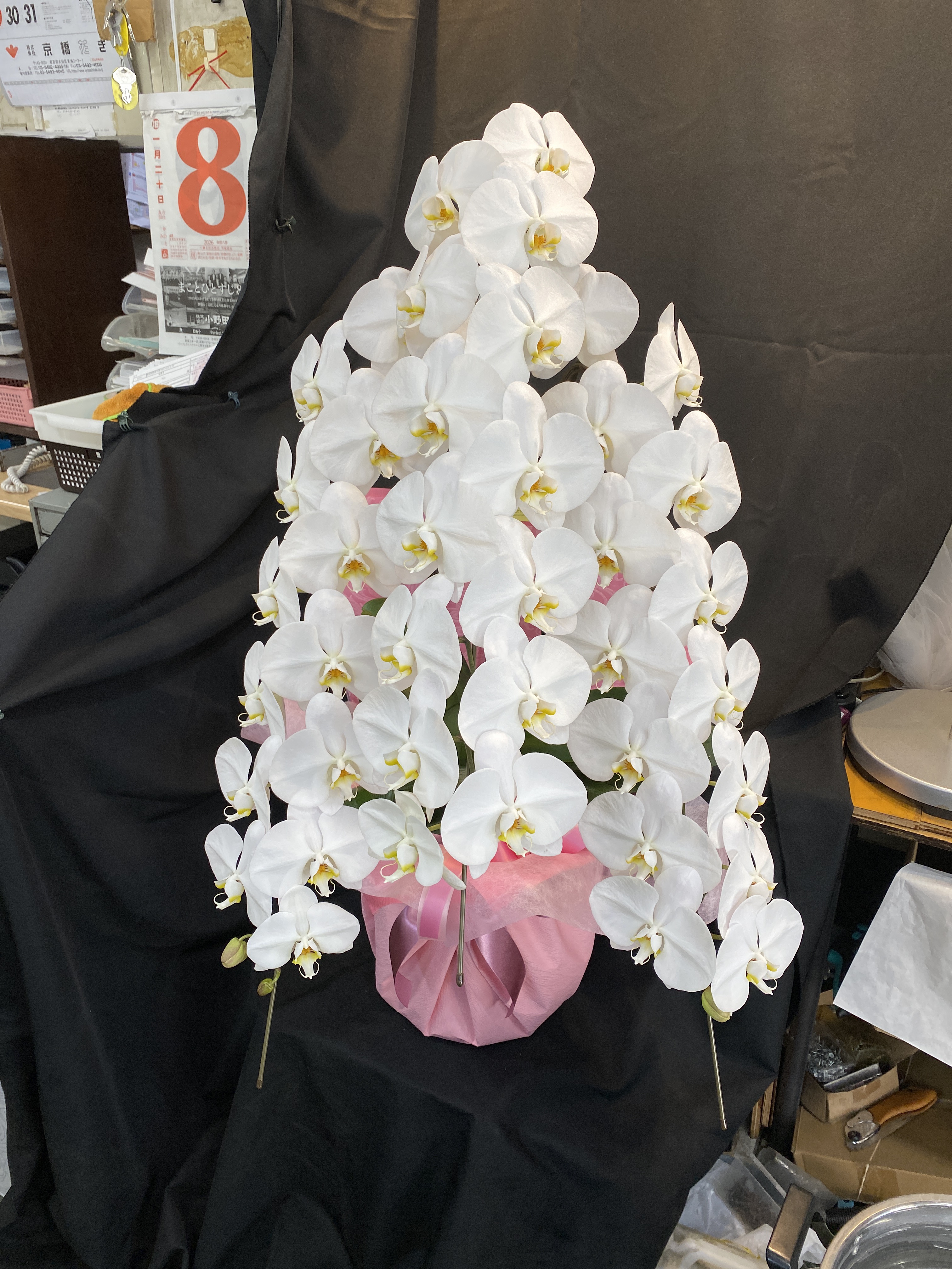 FileMakerから移行
