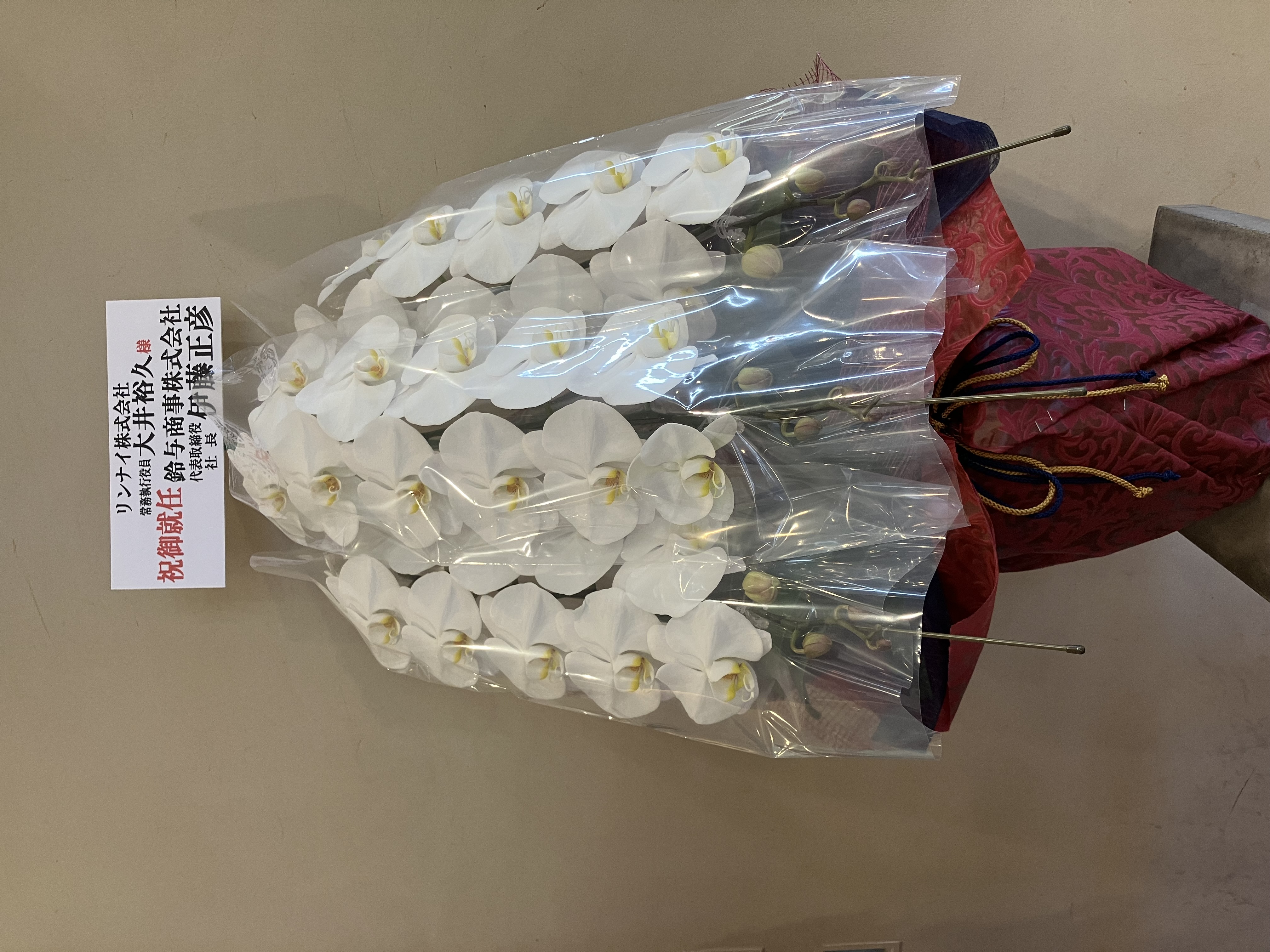 QR自動取込: 99810_名花園様.jpg